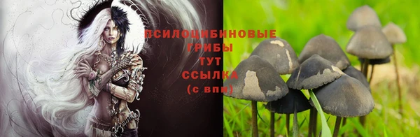 герыч Балахна