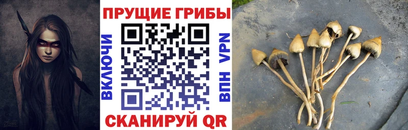 Галлюциногенные грибы MAGIC MUSHROOMS  Сенгилей 